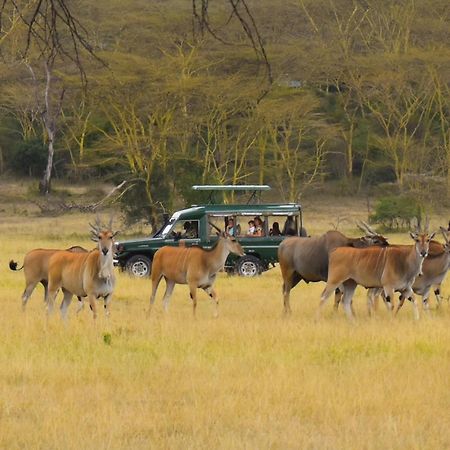 Lake Elmenteita Serena Camp מראה חיצוני תמונה