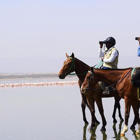 Lake Elmenteita Serena Camp מראה חיצוני תמונה