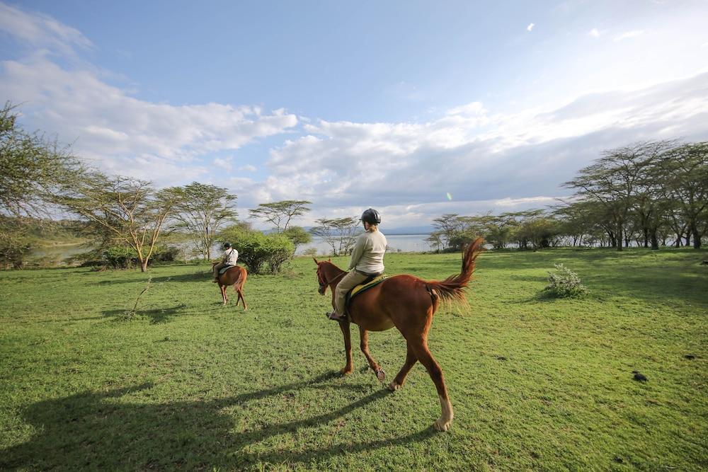Lake Elmenteita Serena Camp מראה חיצוני תמונה