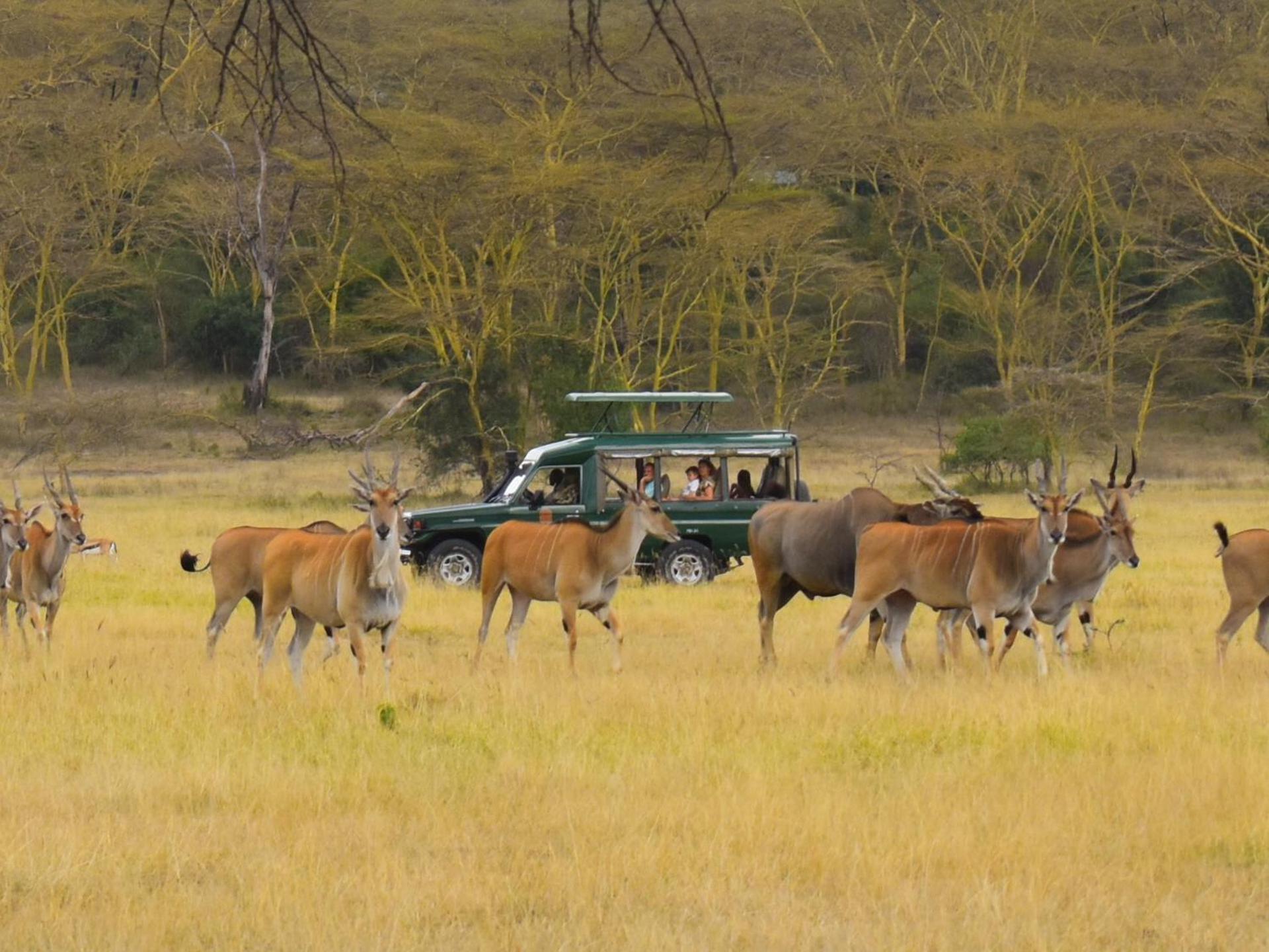 Lake Elmenteita Serena Camp מראה חיצוני תמונה